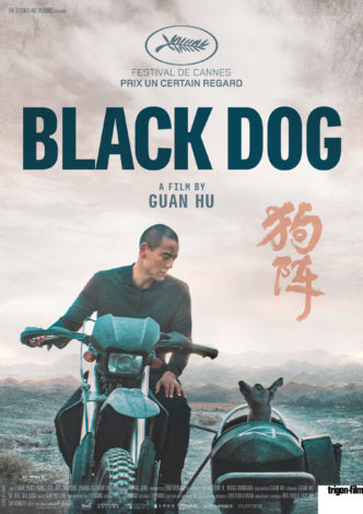black.dog
