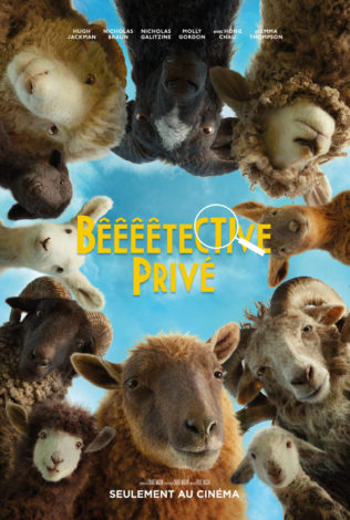 sheep deective